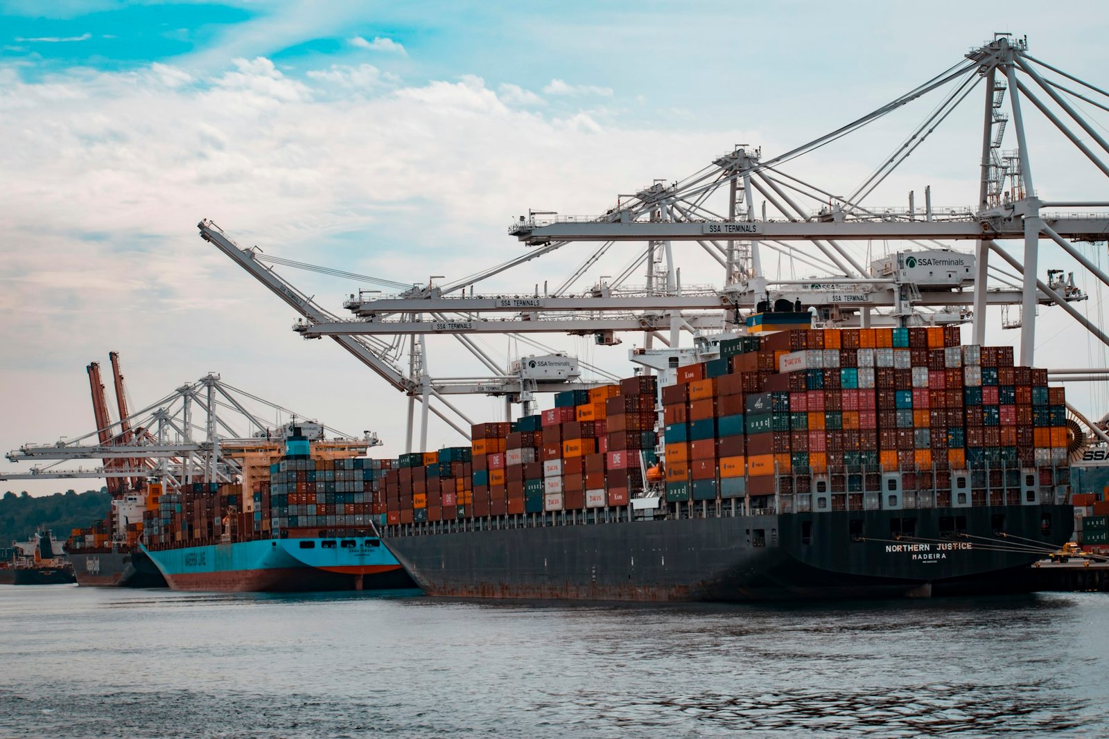 Container ships and gantry cranes at a working port